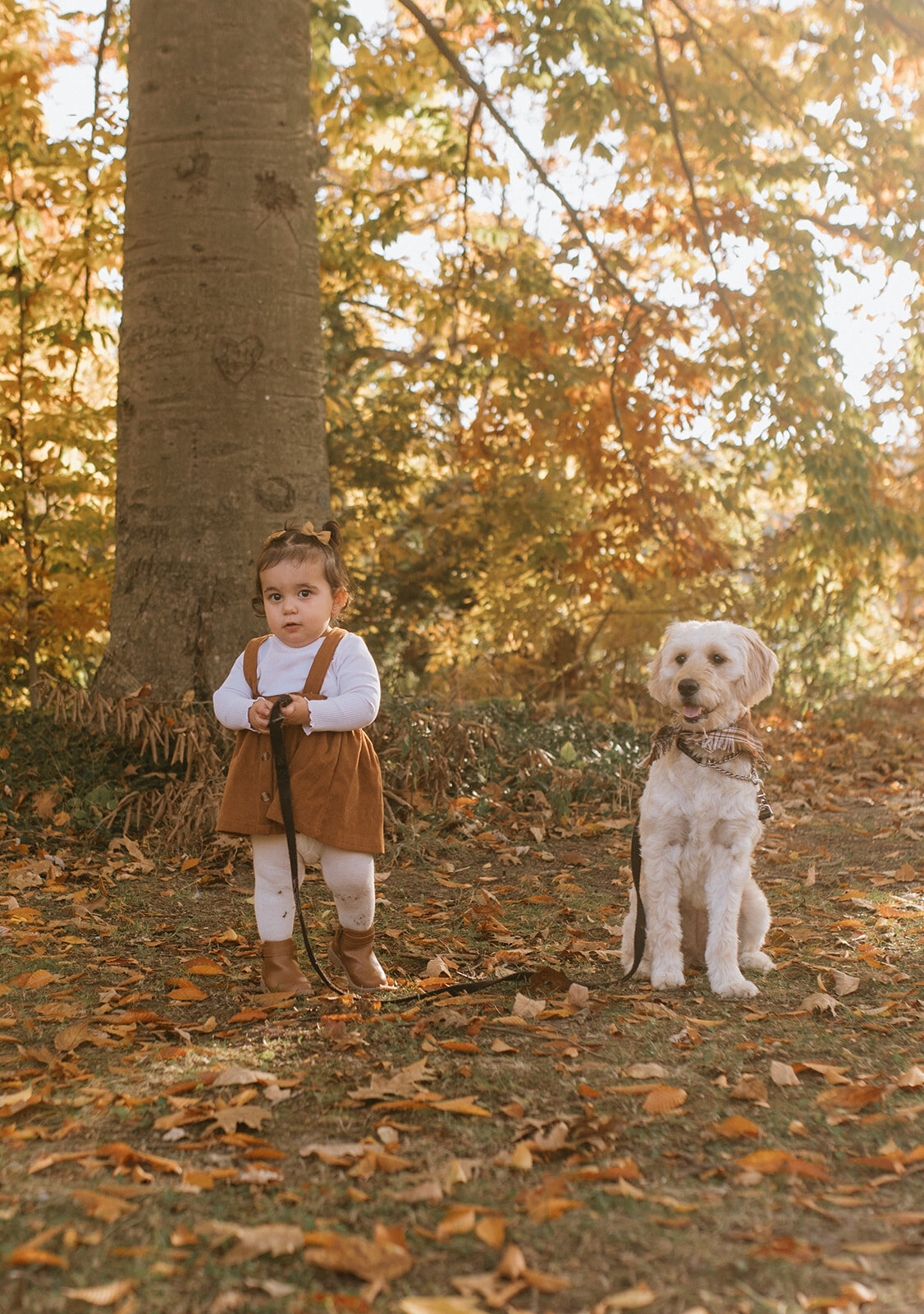 baby-girl-holds-dog-leash-with-dog