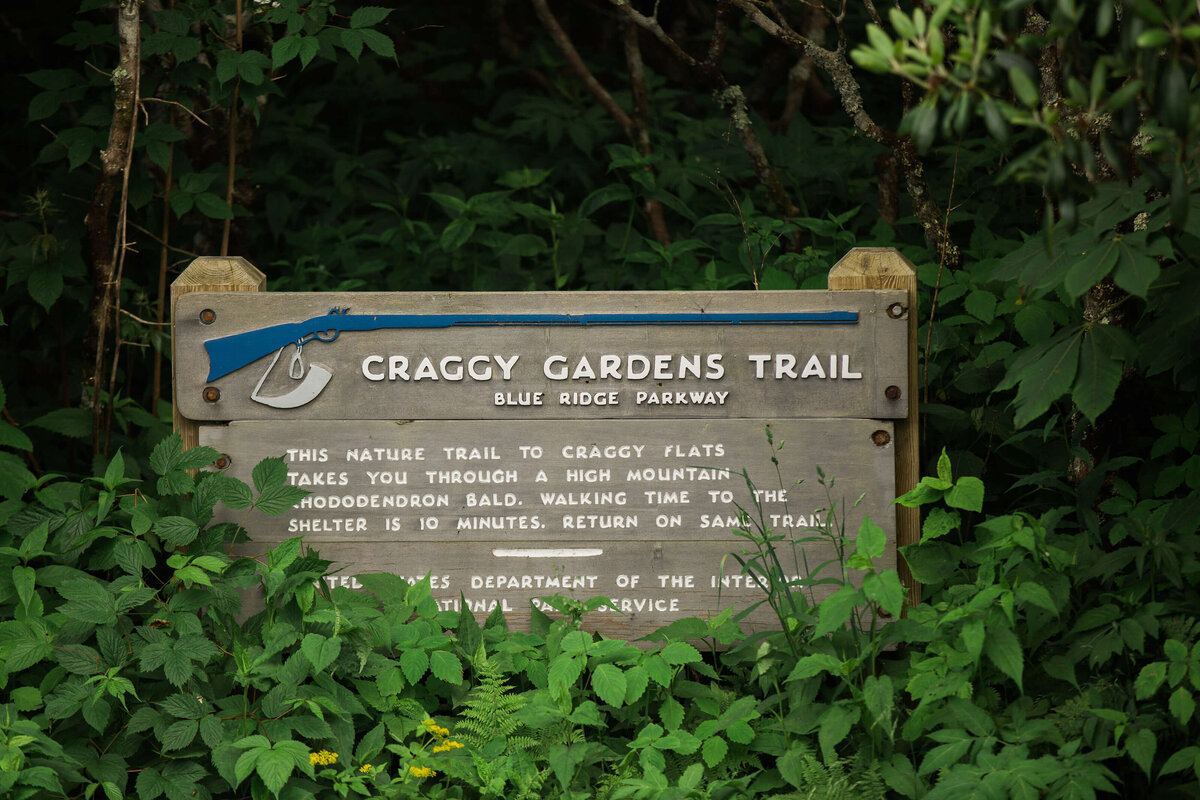 Craggy-Gardens-NC-Elopement-1