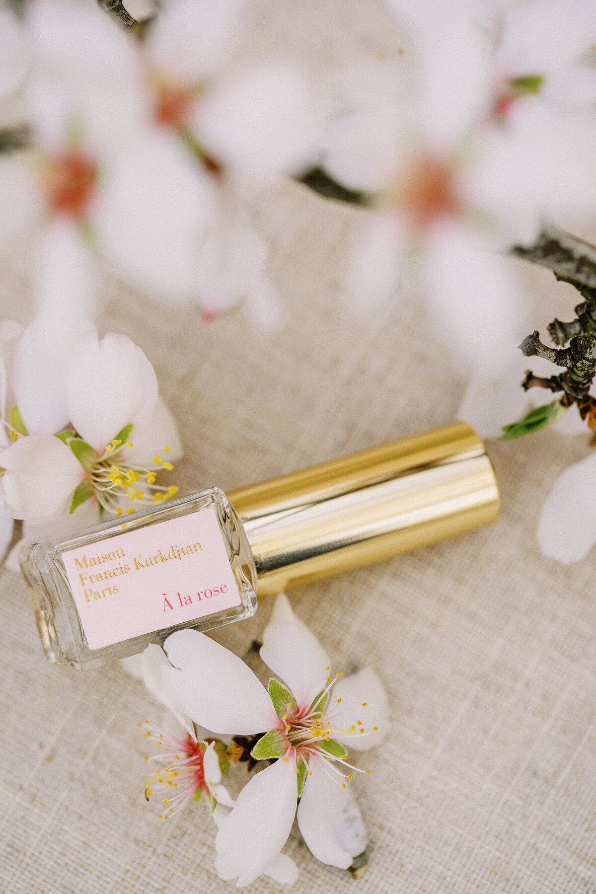 abele-farms-almond-blossom-engagement-5