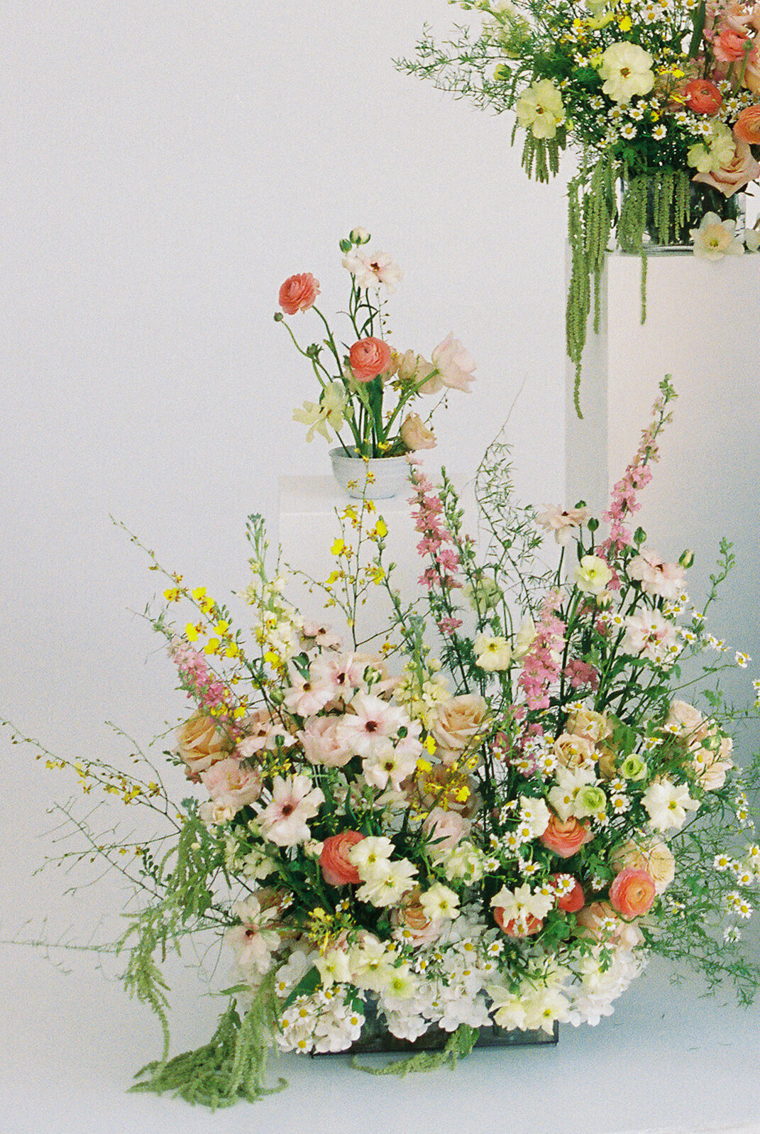 250427 Epsilon Floral_film-29