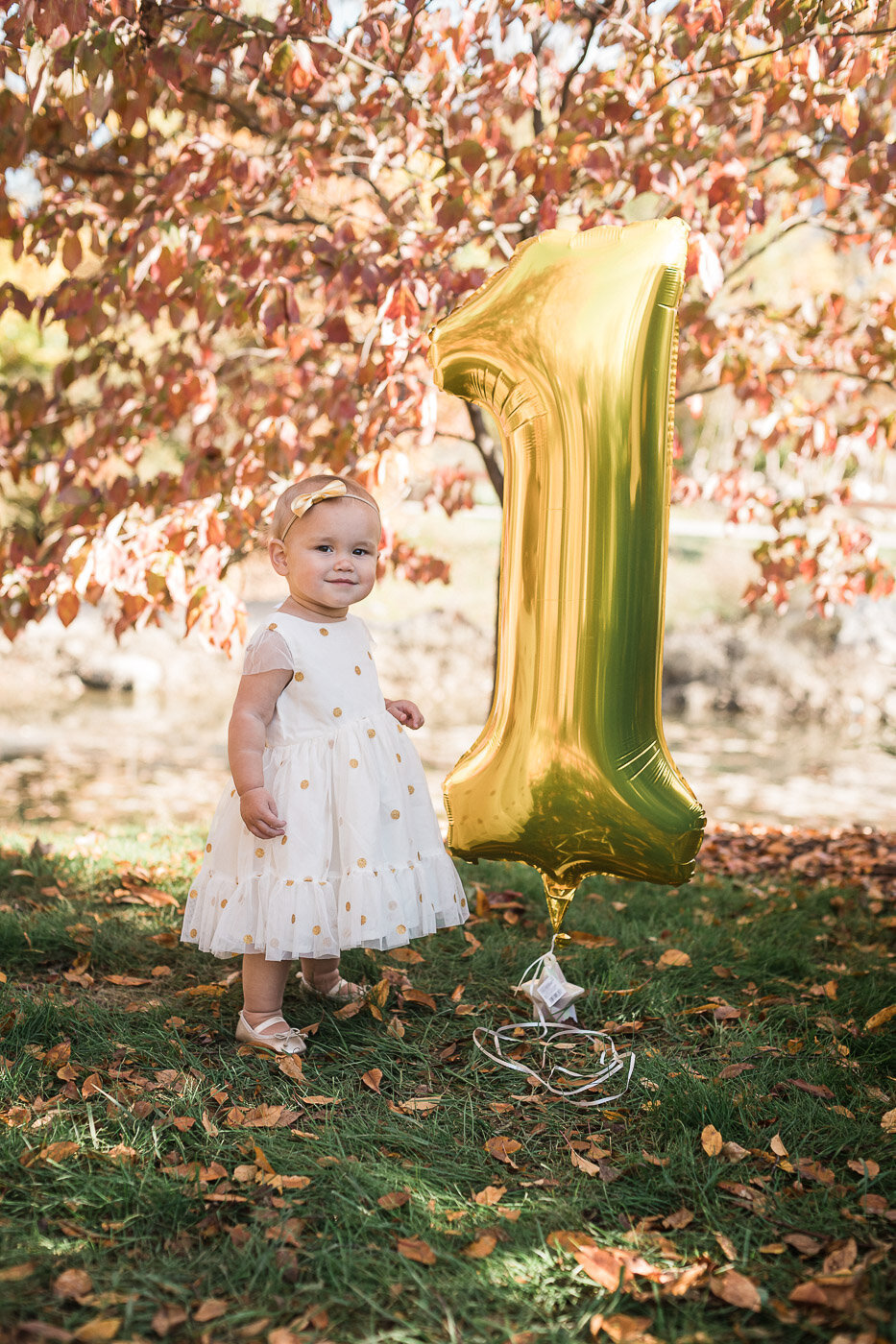 carmel-indiana-family-photographer-fall-golden-hour-22
