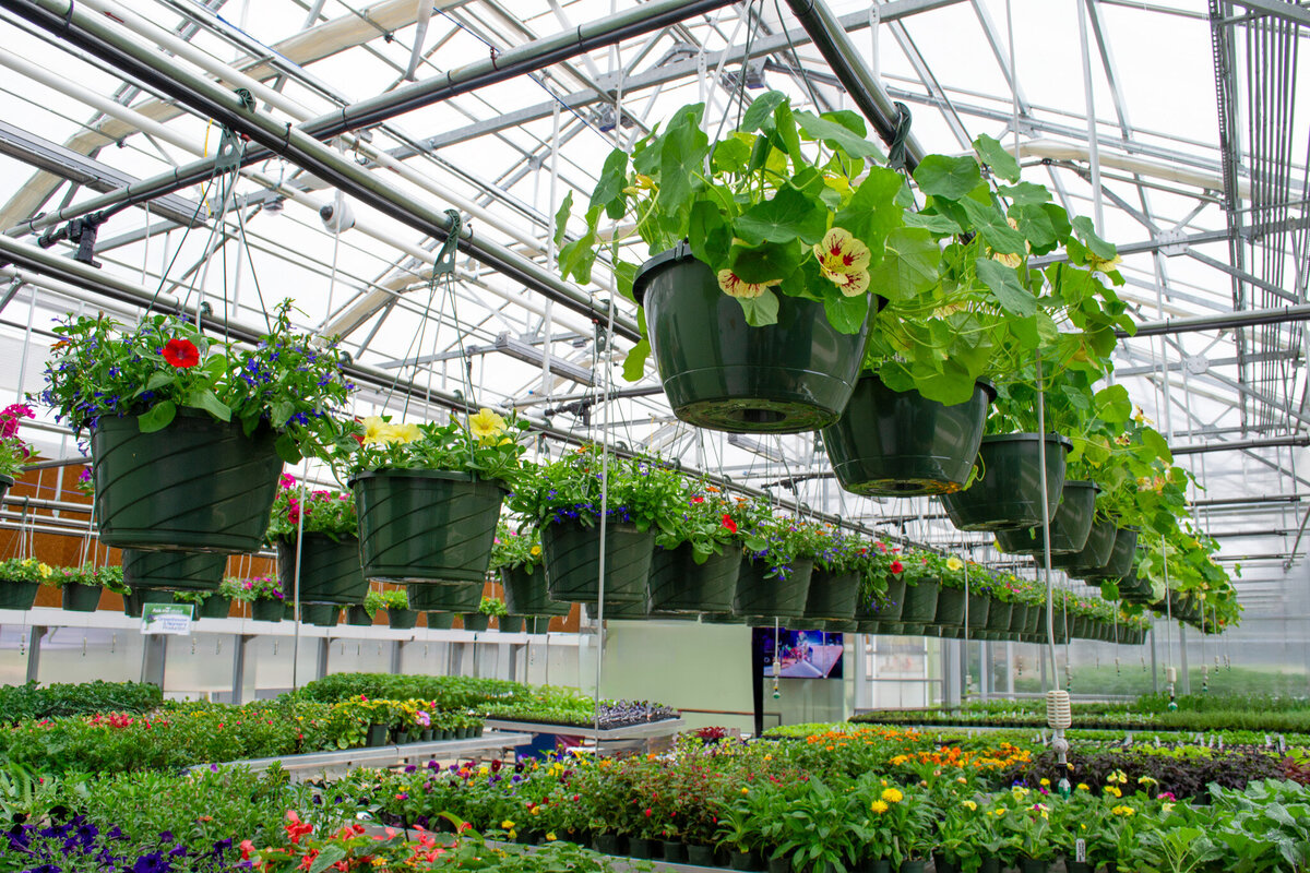 BRCC Greenhouse-10