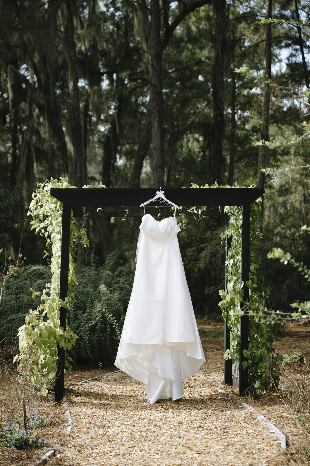 Savannah Georgia Wedding Photographer