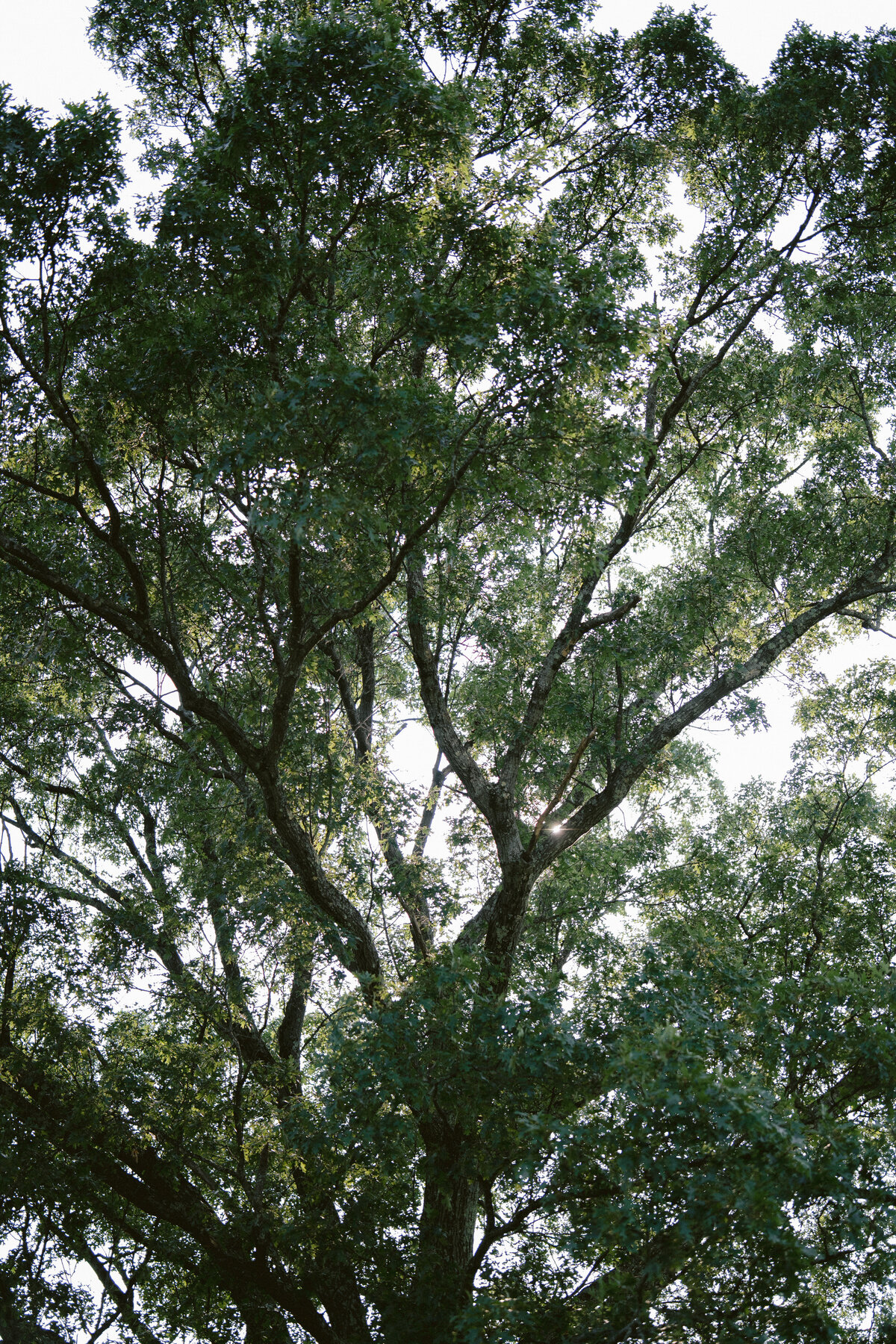 Summer Wedding in Marlboro, New York_146