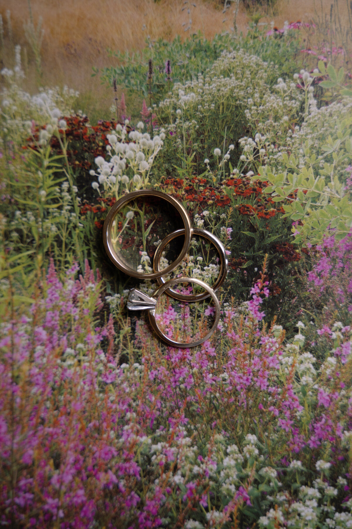 Destination-Wedding-Photographer-Erica-And-Max-Jenna-Martin038