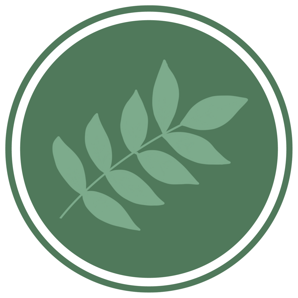 Reconnection Retreats Business Retreats for Women