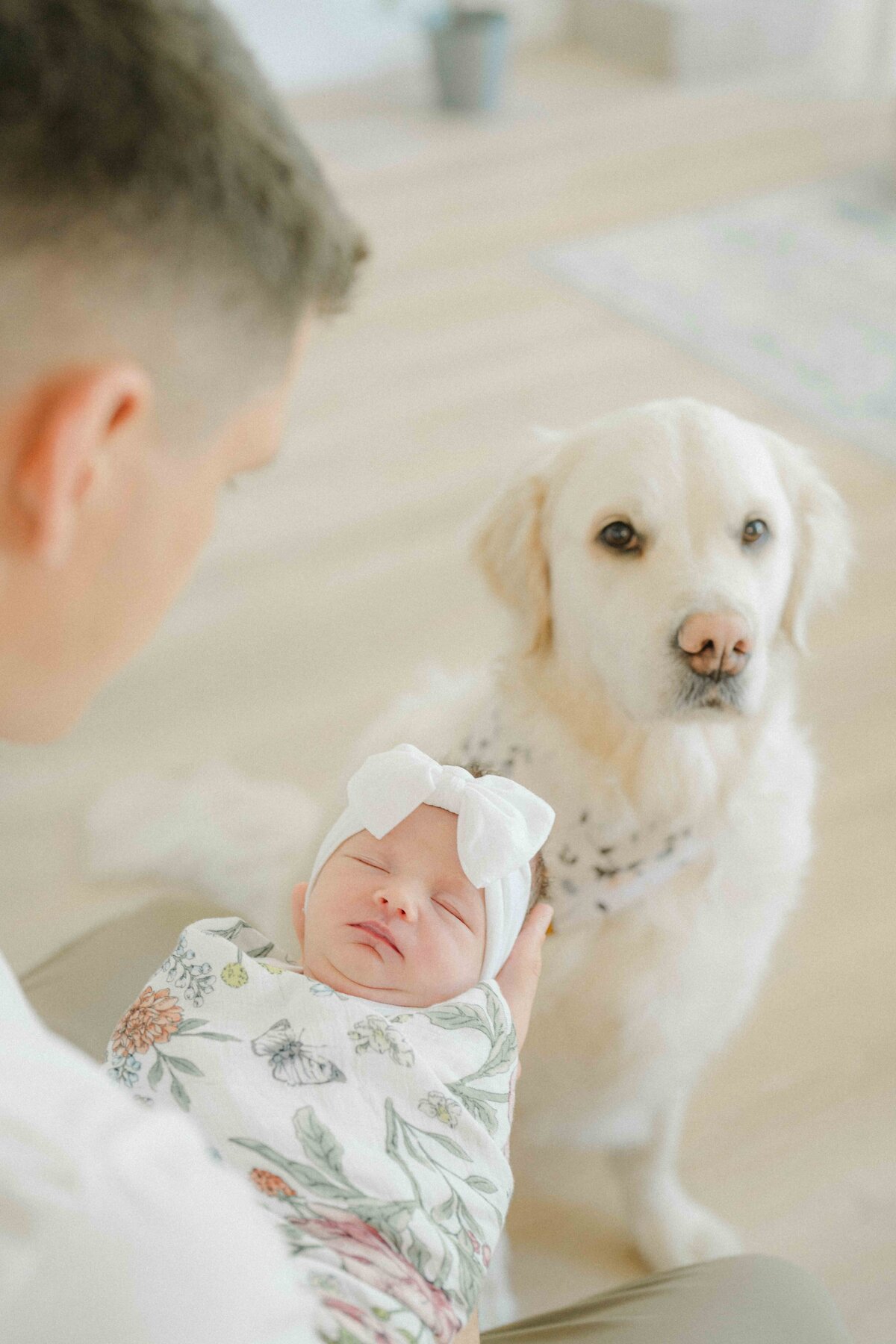 newborn baby girl with family dog