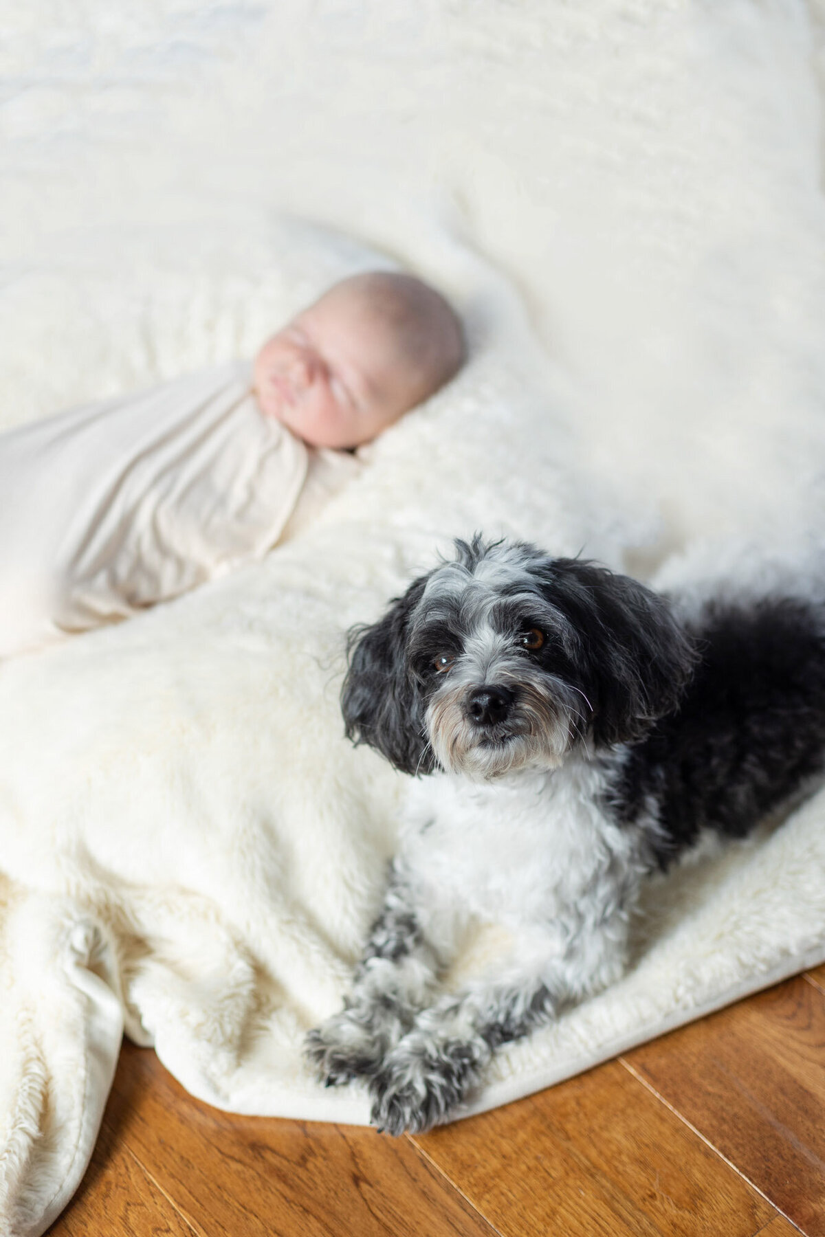 newborn-wbsz-20
