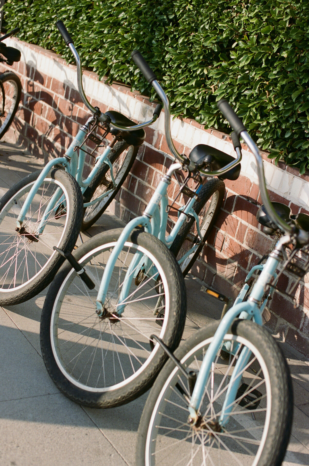 Jenny Losee Photography (9 of 438)