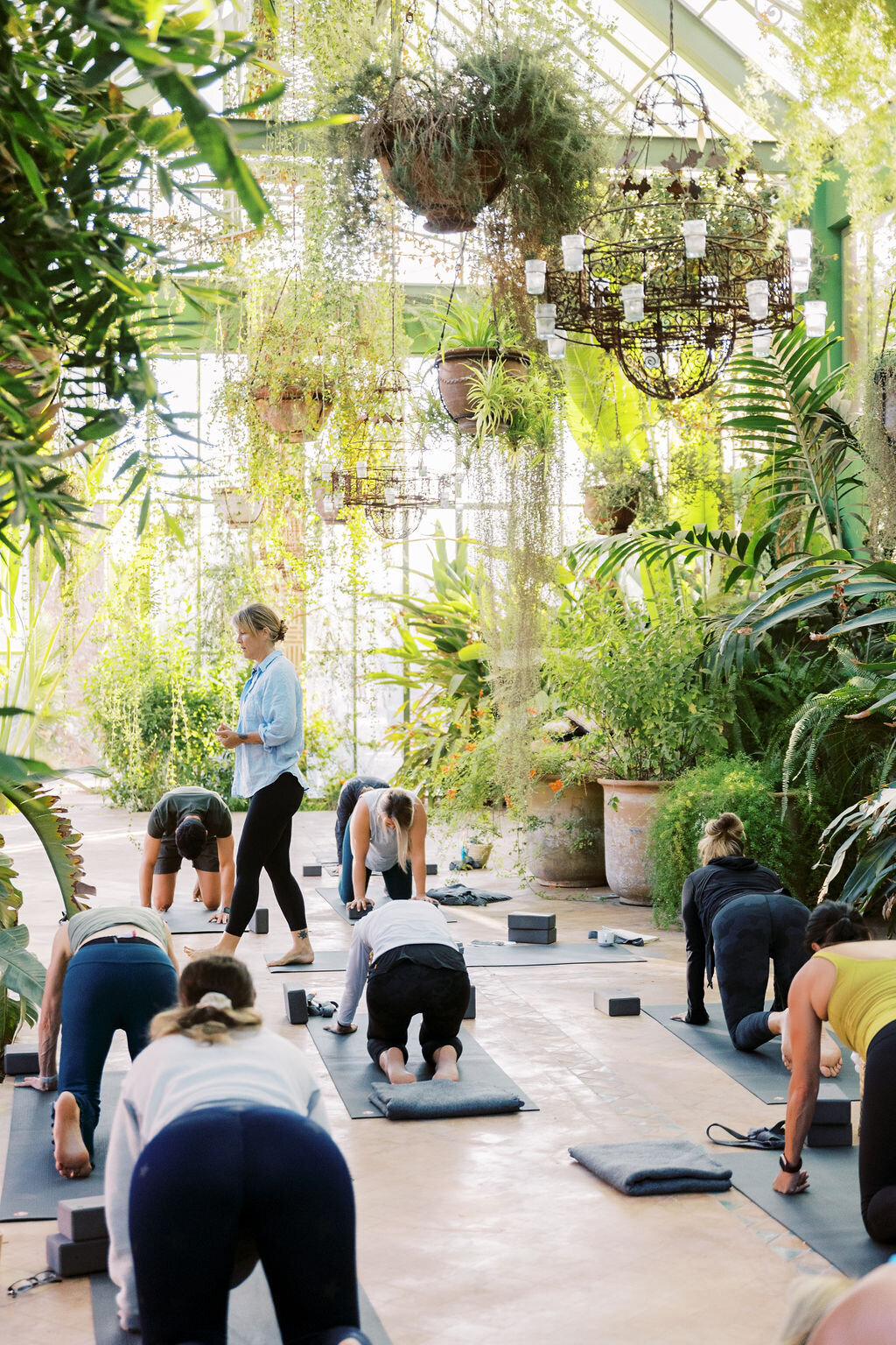 garden yoga