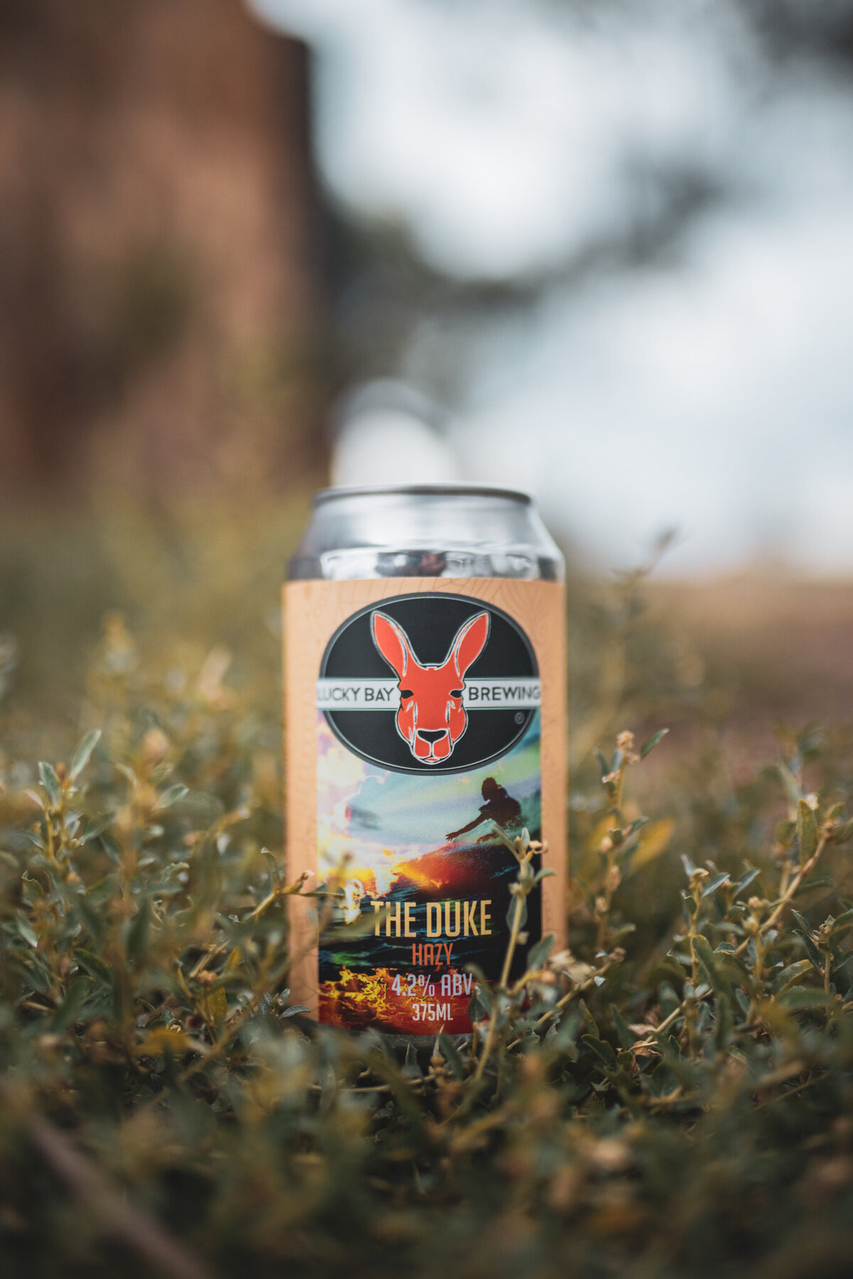Lucky Bay Beer-4