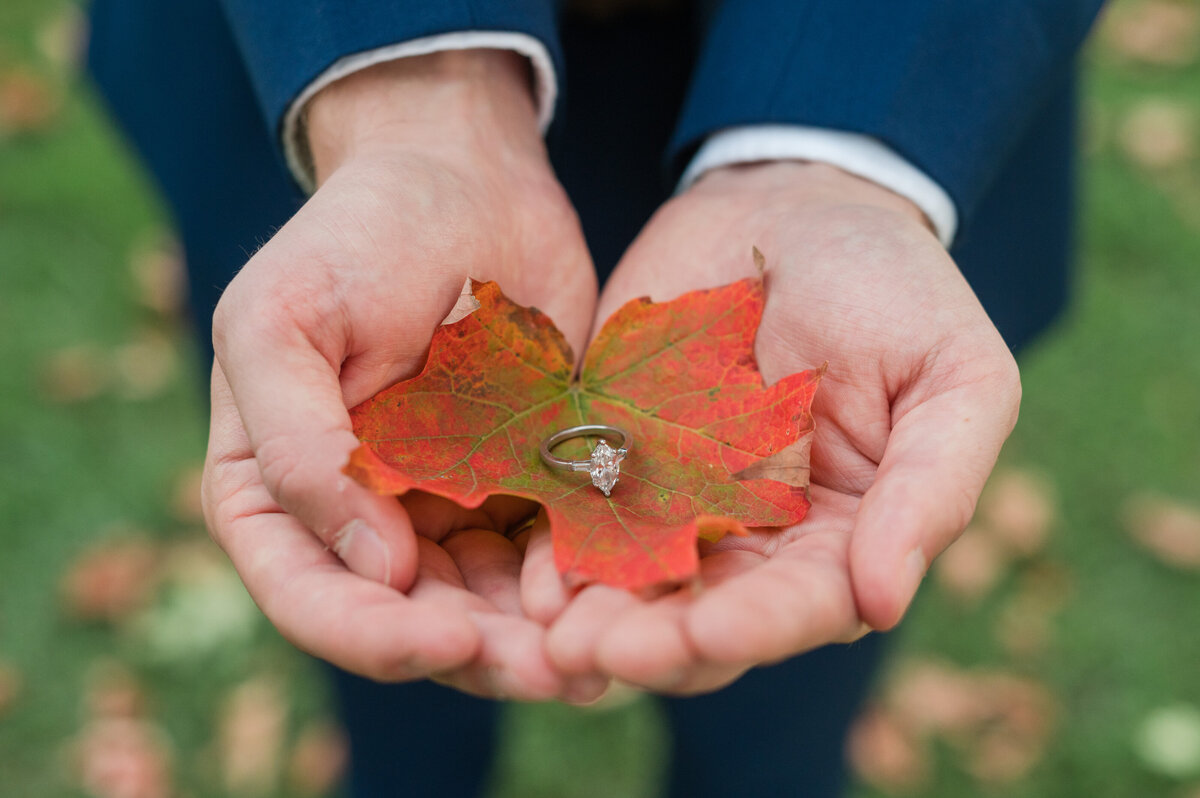 bronte creek engagement 30