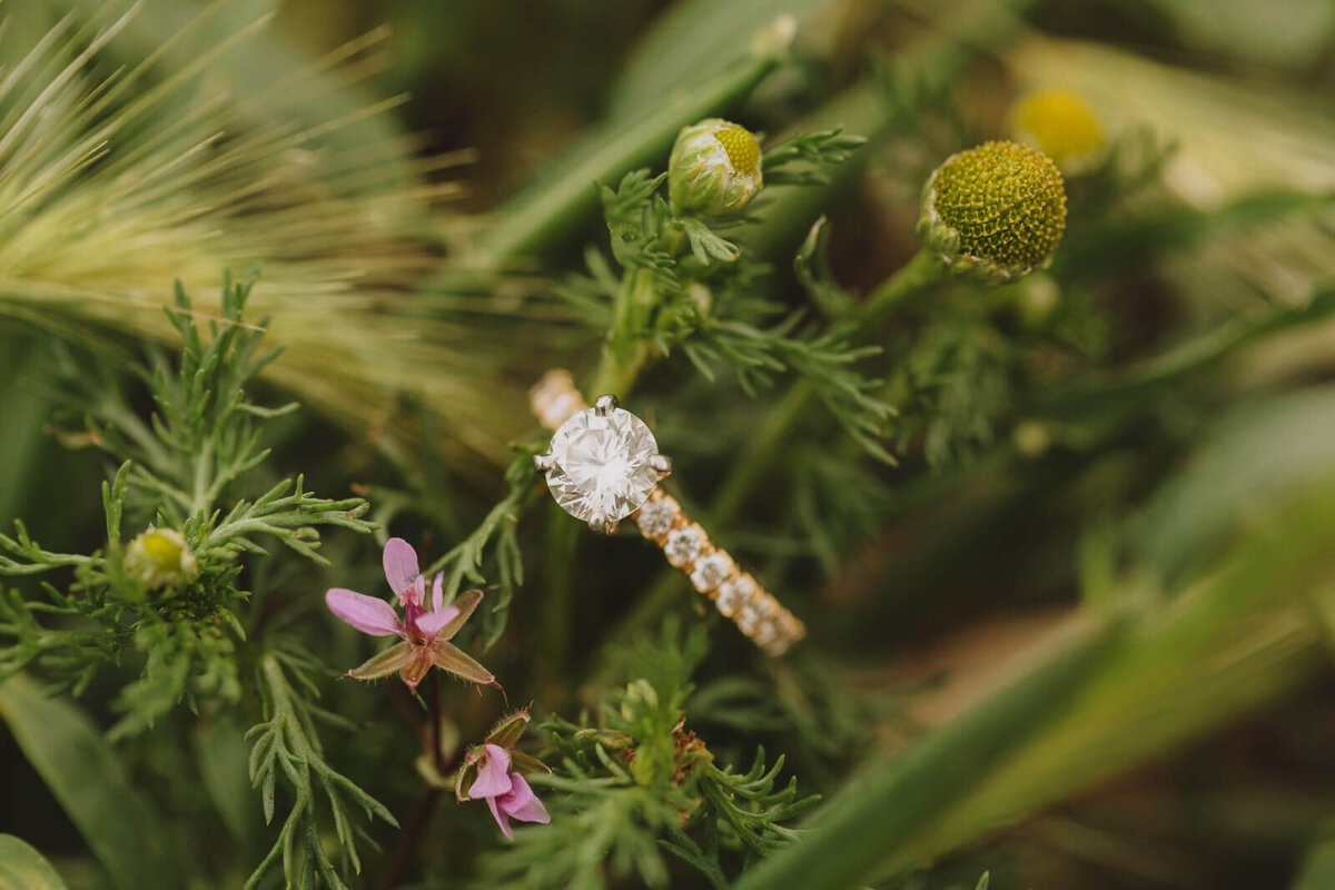 Yakima-River-Engagement-Teresa-Bicchieri-Photo-1