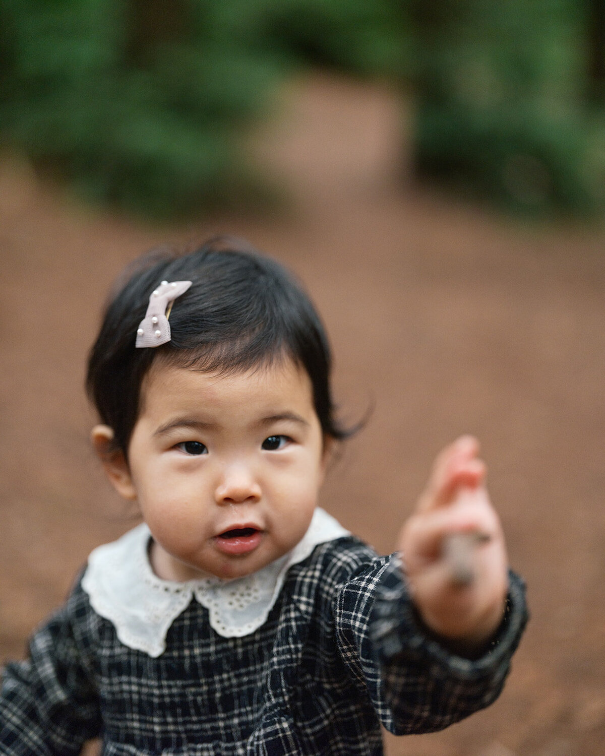 Fall toddler portraits redwood forest East Bay Oakland family photography