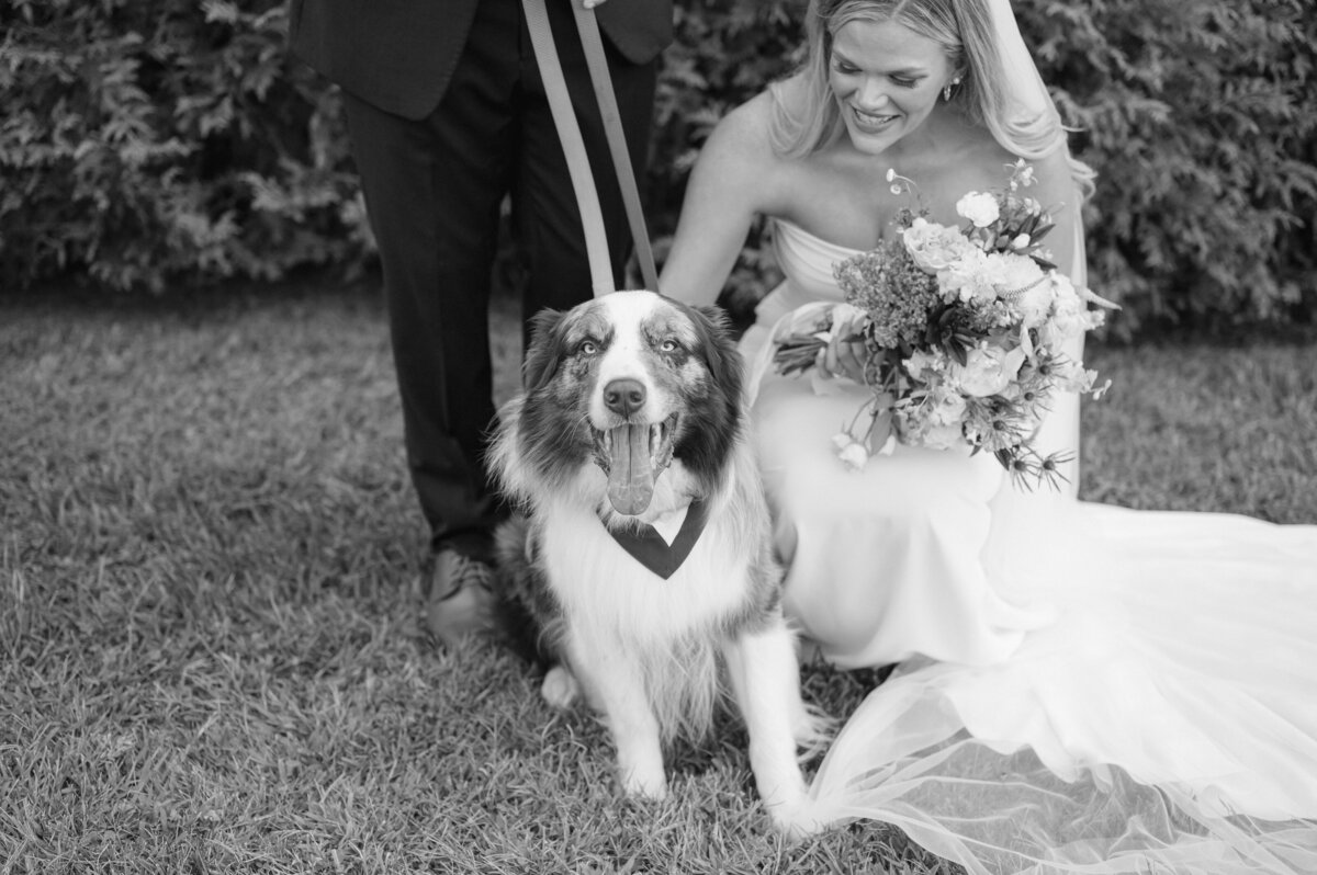 Bride and groom with dog in Bowling Green, Kentucky