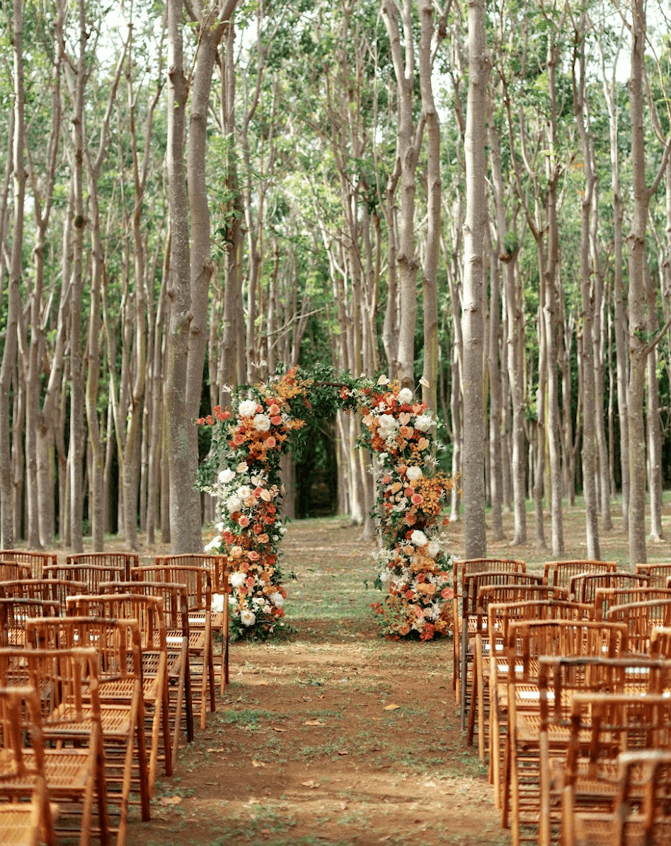 Screenshot 2025-11-25 at 12.04.46 PM