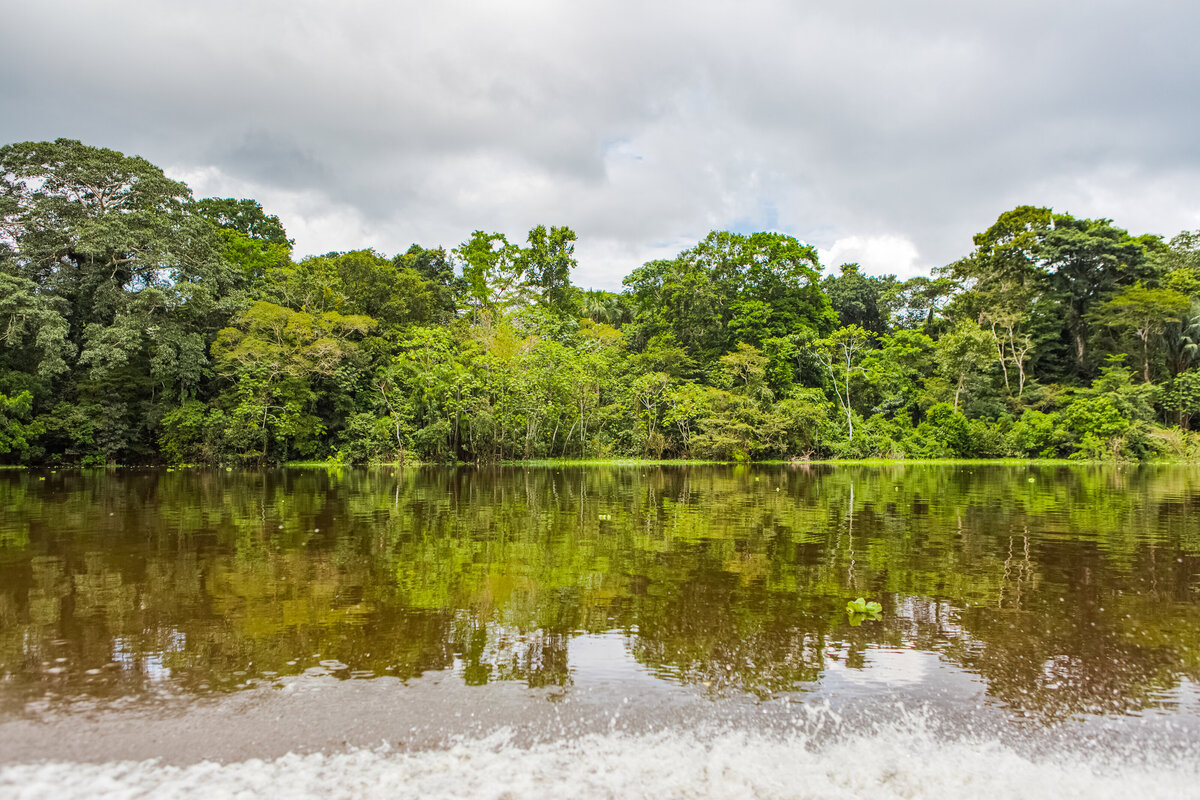 045-KBP-Peru-Iquitos-Amazom-Rainforest-007