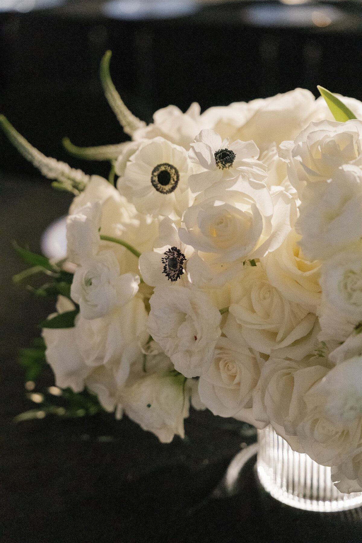 JESSICA RIEKE PHOTOGRAPHY - BTESH WEDDING - DAY 1 BBQ-243
