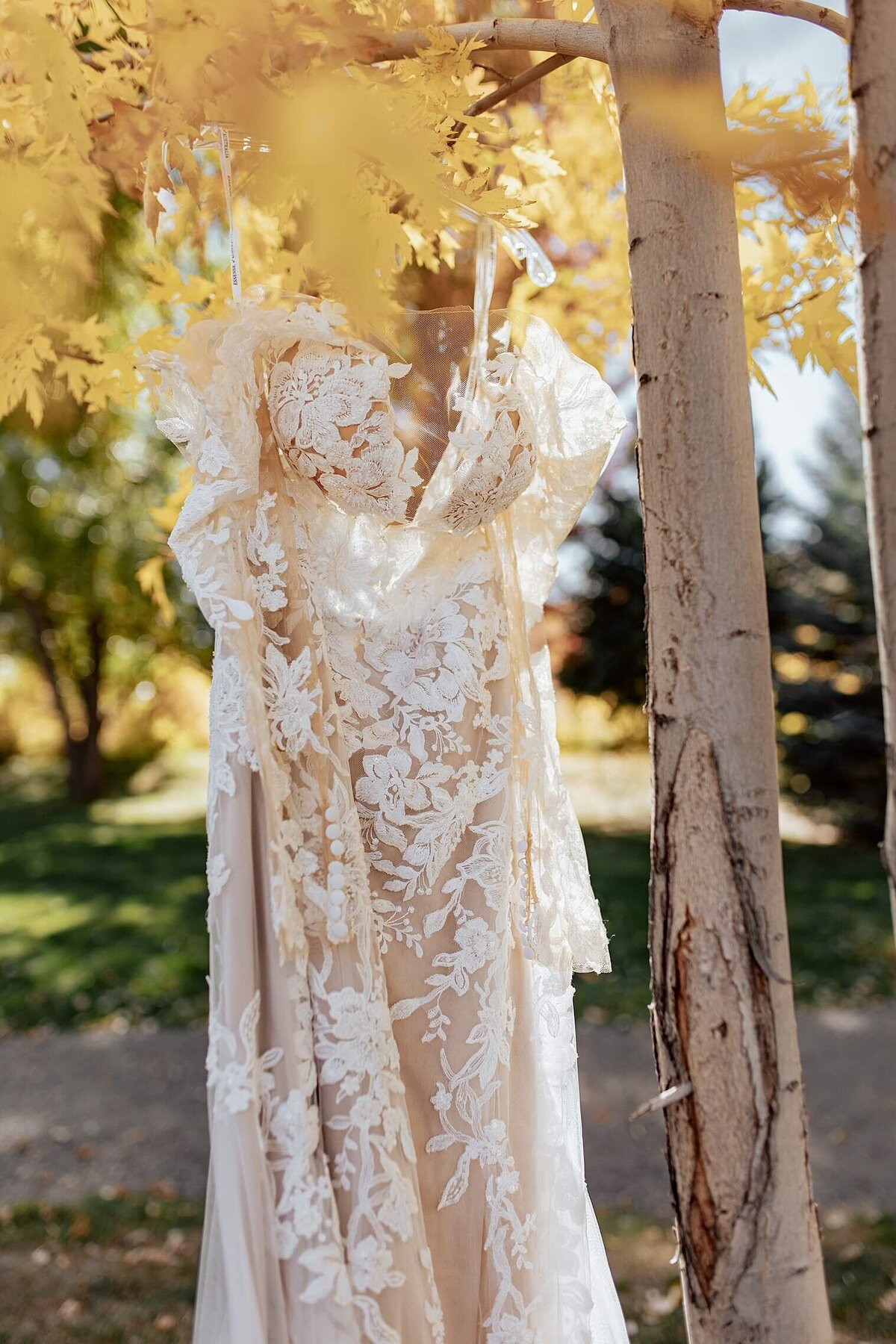 wedding detail image of dress hangin up in fall leaves tree. Colorado Springs CO wedding