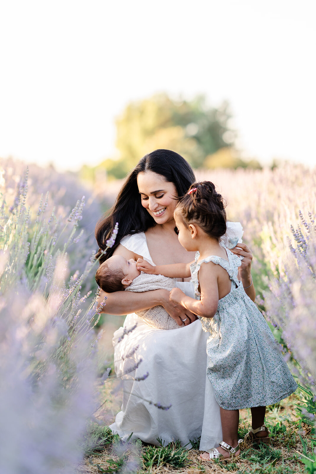 A mother with soft brown curls crouches in a lavender field while smiling and holding her newborn and embracing her toddler daughter photographed by Bay Area Family Photographer, Light Livin Photography.