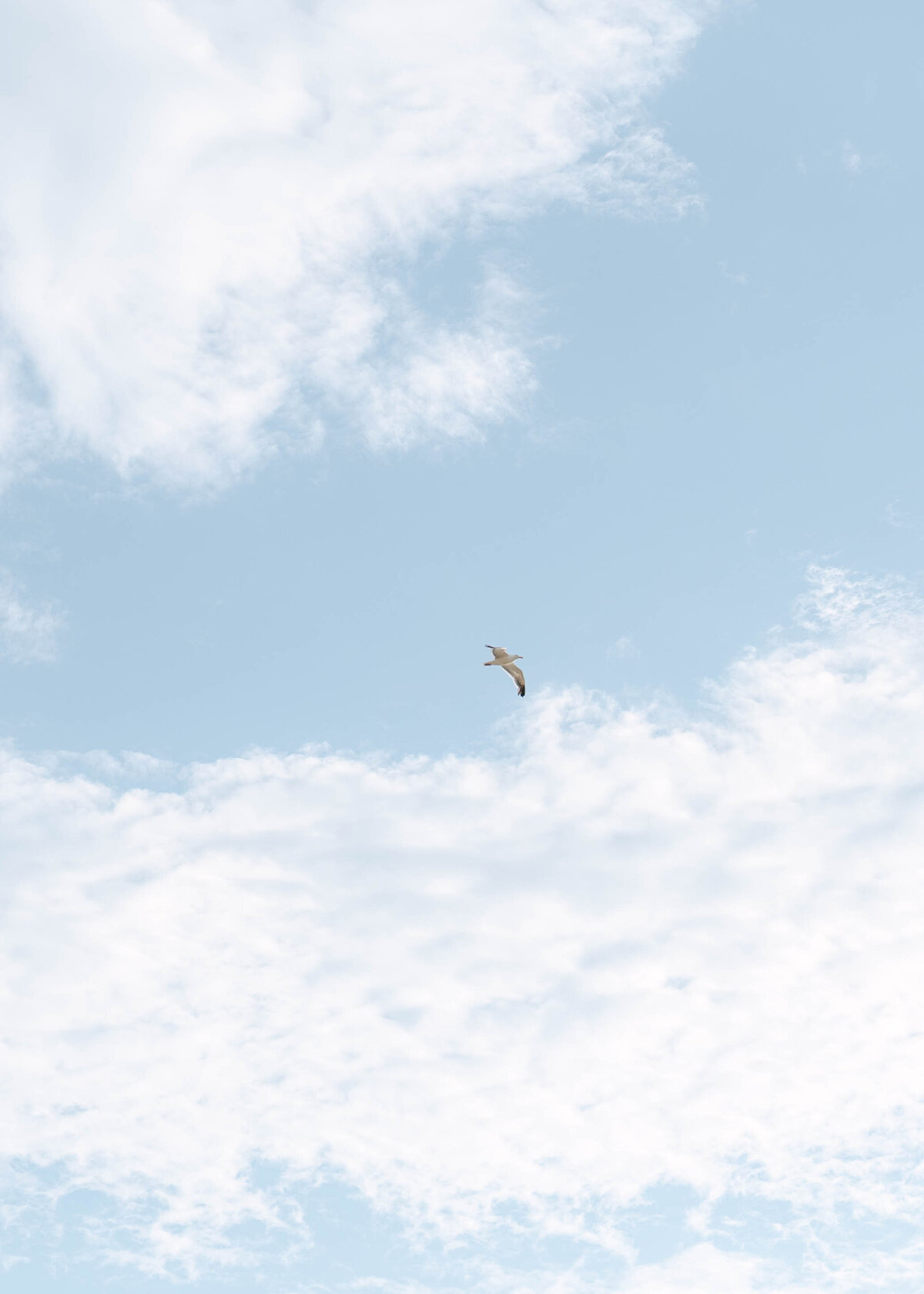 taylerirenephotography-DannyandAndrea-17-min