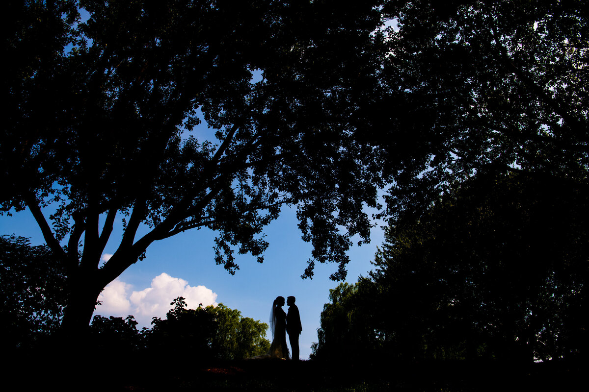 silhouette the farm at eagles ridge