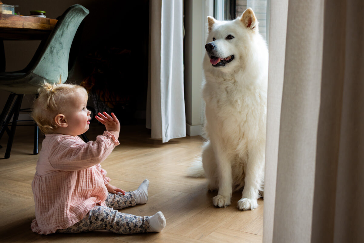 gezins fotoshoot aan huis peuter zwaait naar hond