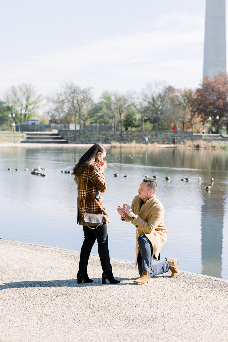 Wedding Proposal at the Constitutions Gardens