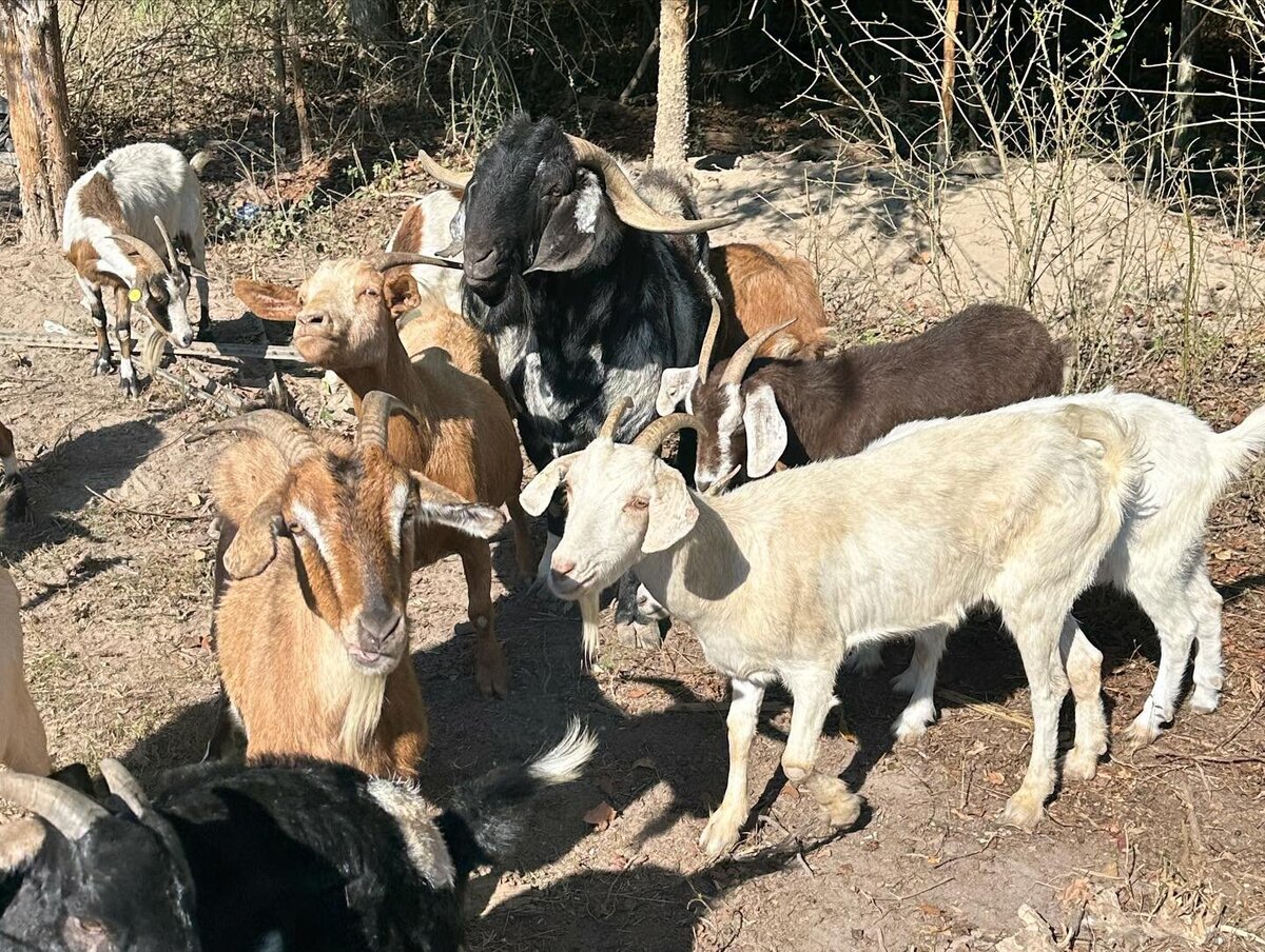 Farm Tours 5
