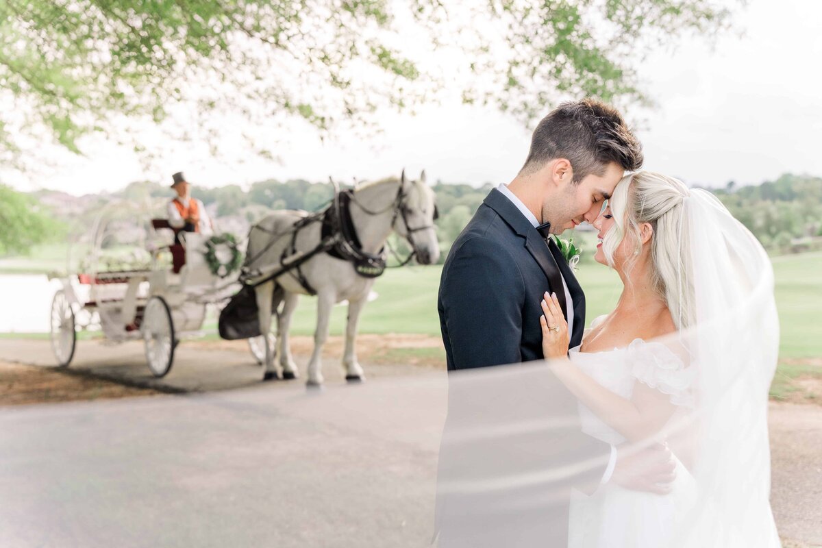 Bride and groom embrace surrounded by the veil and a horse and carriage in the background