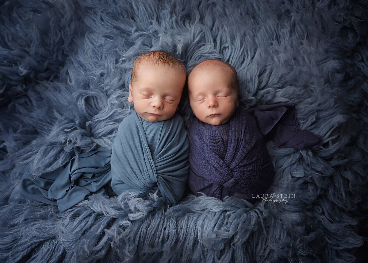 IMG_4444-2 copy2