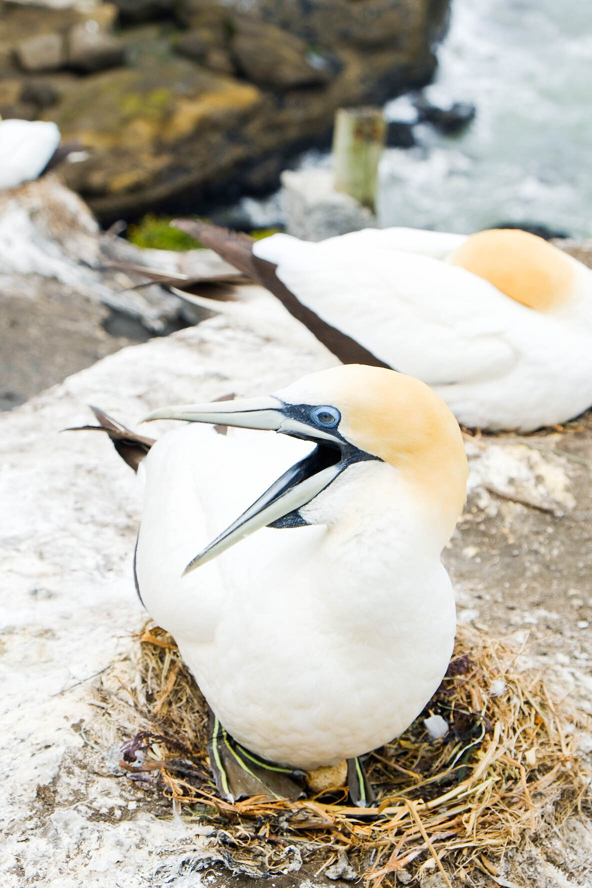 jacqueline_campbell_travel_photography_020