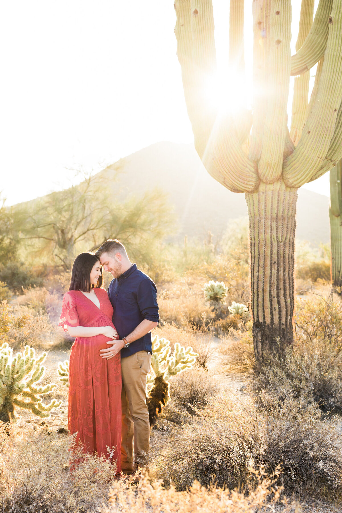 mom and dad to be posing for maternity photo