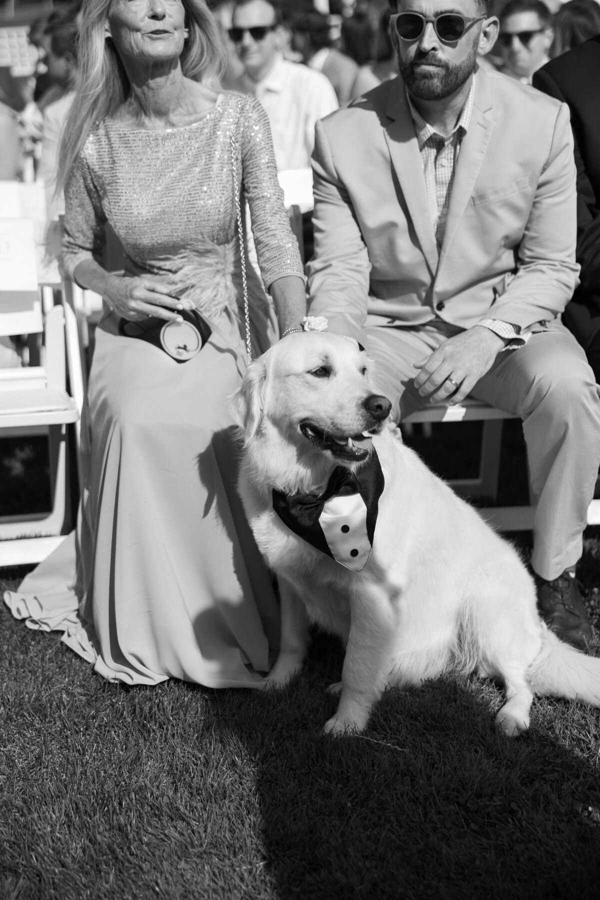 Vermont Wedding Photographers | Sincerely Liz Photography Documentary Wedding, Engagement, Elopement, Maternity and Newborn Photographer in New England 