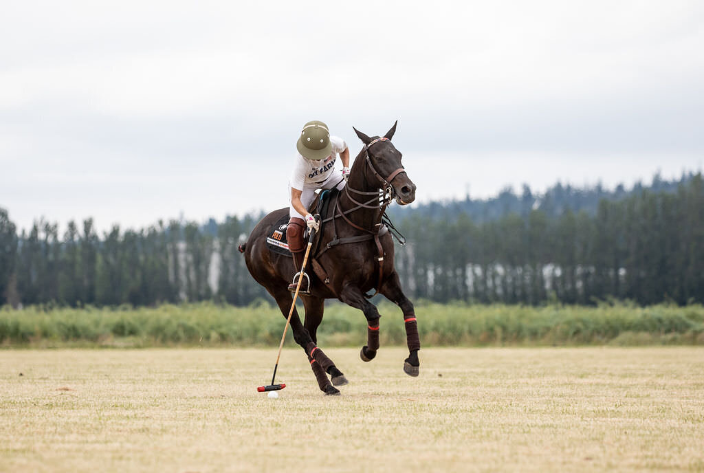 20230624_kya-photography-equestrian-photographer_0024
