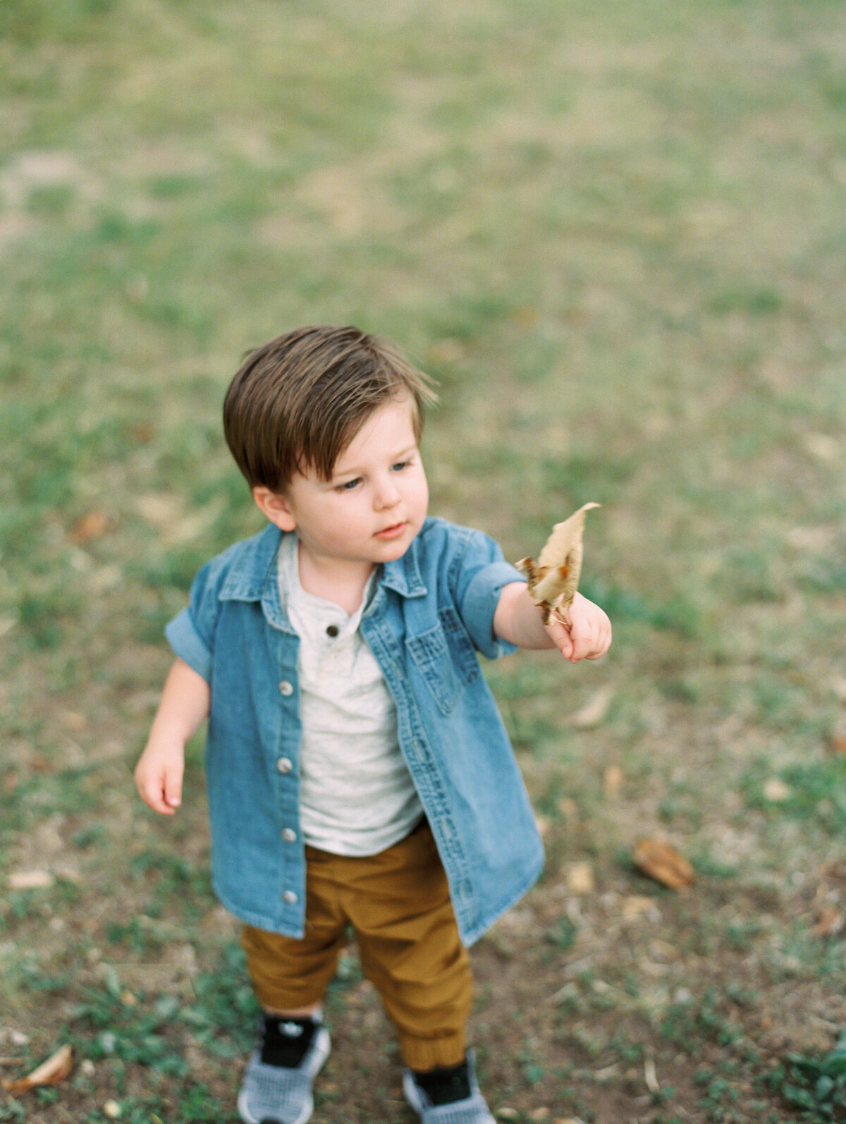 Little boy standing in the grass holding a brown leaf
