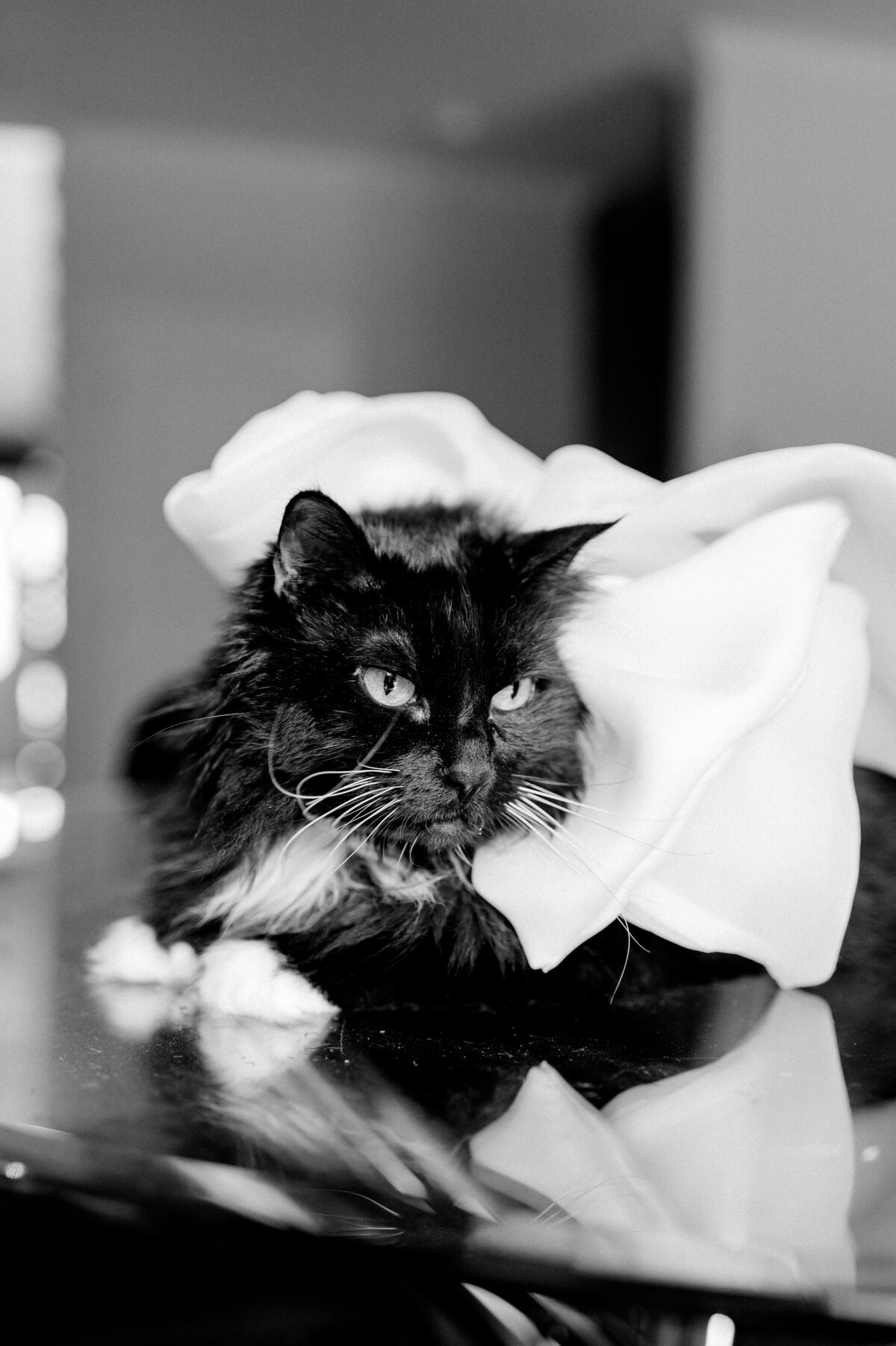 0149 Pascale and Nicolas NAC OBorn Room Wedding Downtown_Ottawa_Photography by Emma