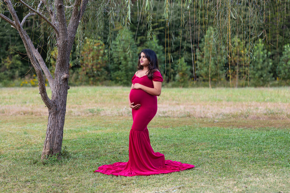 PREGNANT MAMA POSING UNDER A WEEPING WILLOW TREE