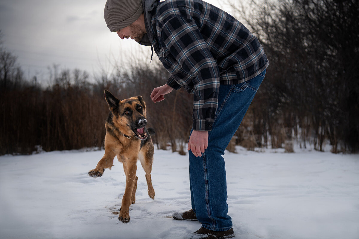 dog is playing with owner in the snow in duluth, minnesota during a photoshoot. 