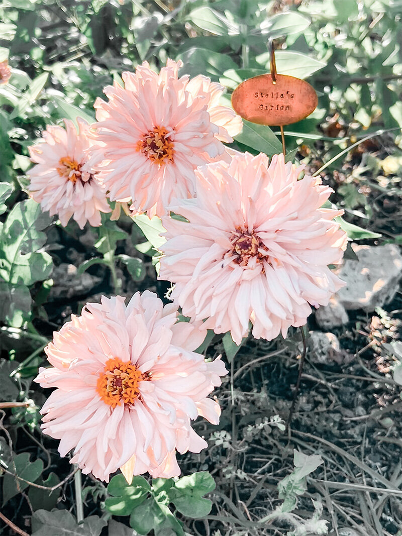 KK_Flowers_Garden_1