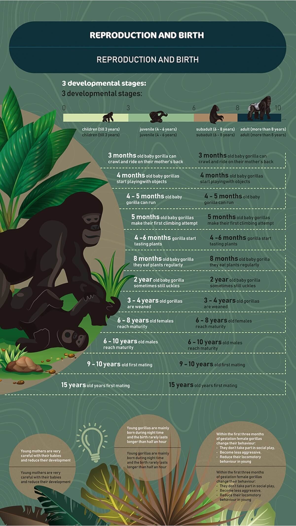 gorilla family-03
