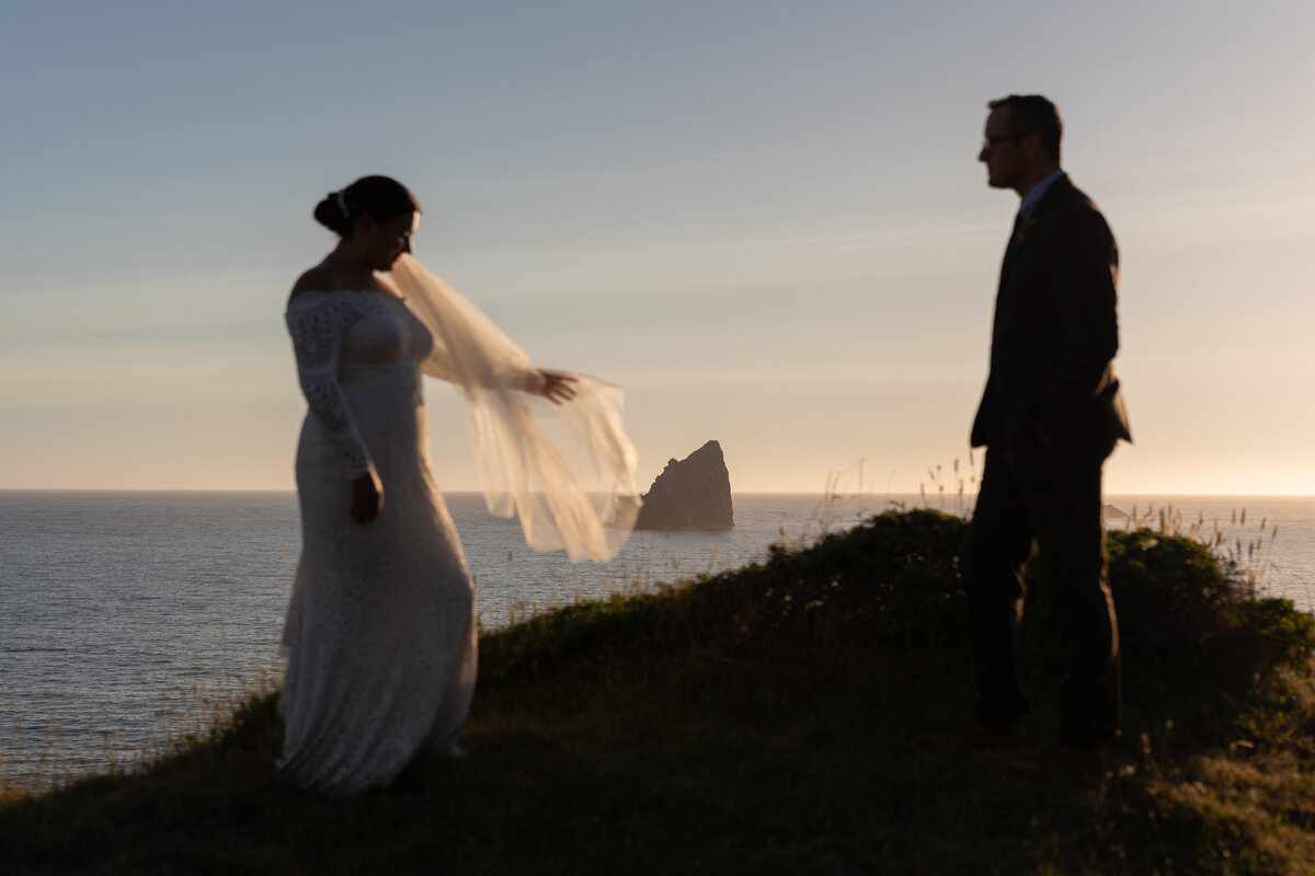 Coastal elopement in the Redwoods Forest