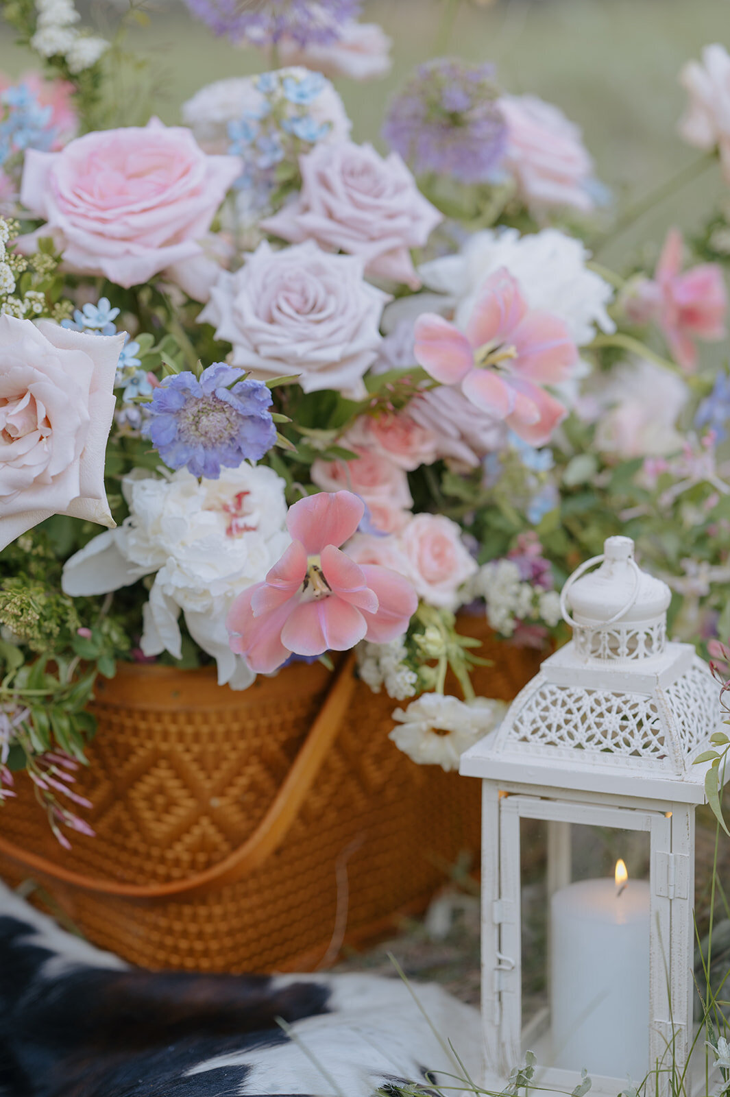 Carly-Patrick-Sheridan-Wyoming-Elopement-233