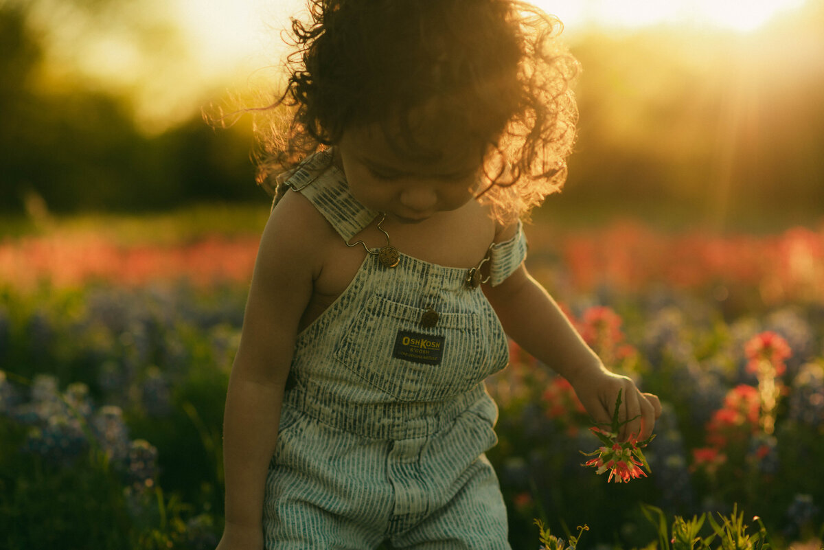 pricebluebonnets1 (5 of 7)