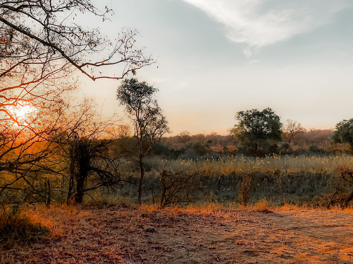 juliercreative-111