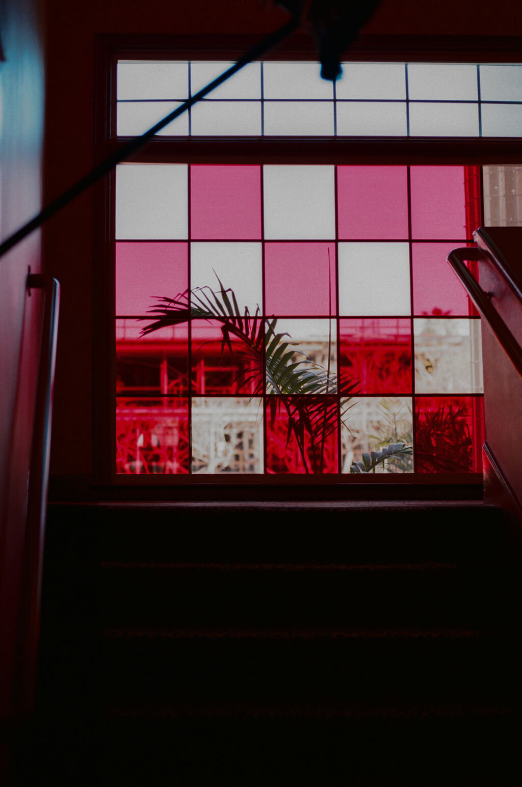 DaniToscano—Lafayette-Film-43