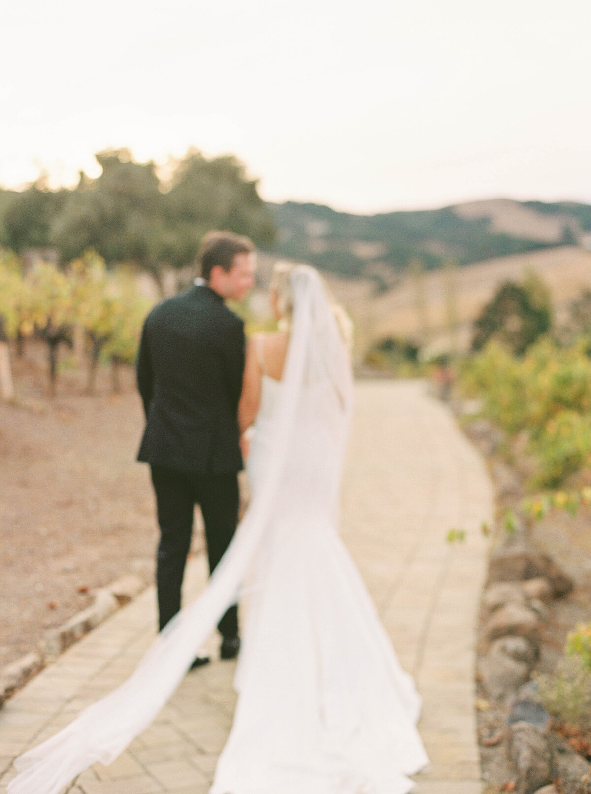 Viansa-Sonoma-Wedding-75