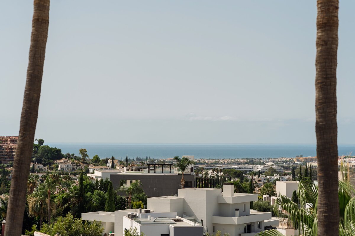 Palmera-25