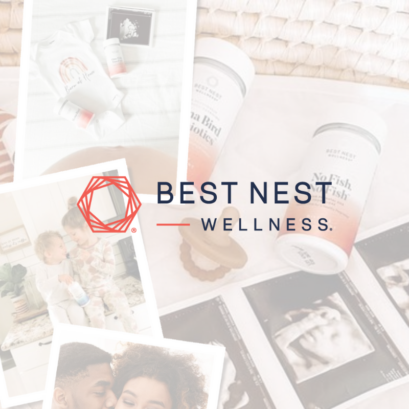 best nest wellness logo