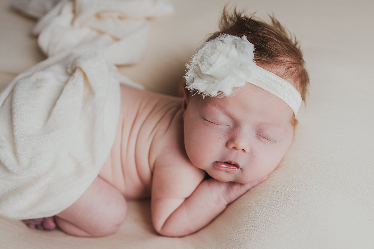 newborn photography indianapolis